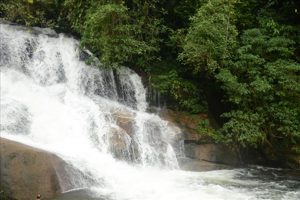 cachoeira (Copy2)